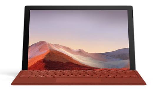 龙沙清洁和维护 Surface